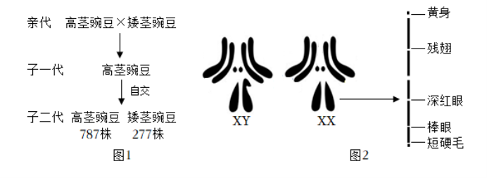 qq五笔输入法pc版