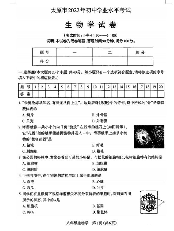 买球APP注册V5.7专业版