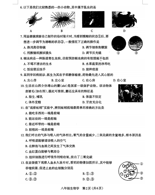BG真人app2025版角色个性化展示