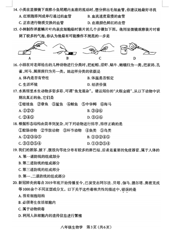 ACDSee绿色精简版