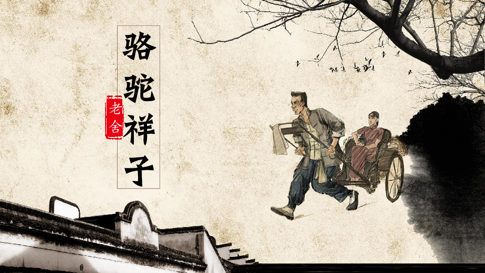 新英皇appV6.5专业版