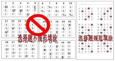 环球公司appV3.8专业版