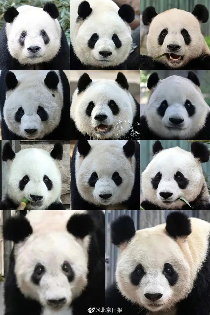贵州药材APP