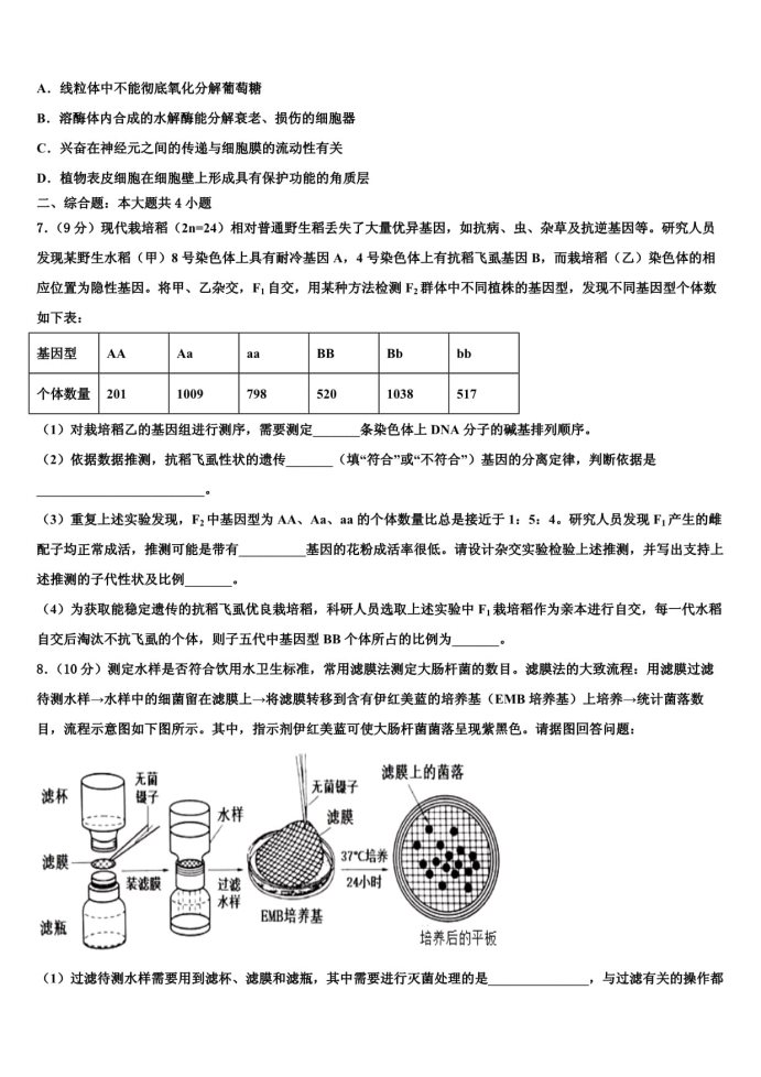 新人注册送28元彩金网站大全app2025最新版游戏综合场景概览