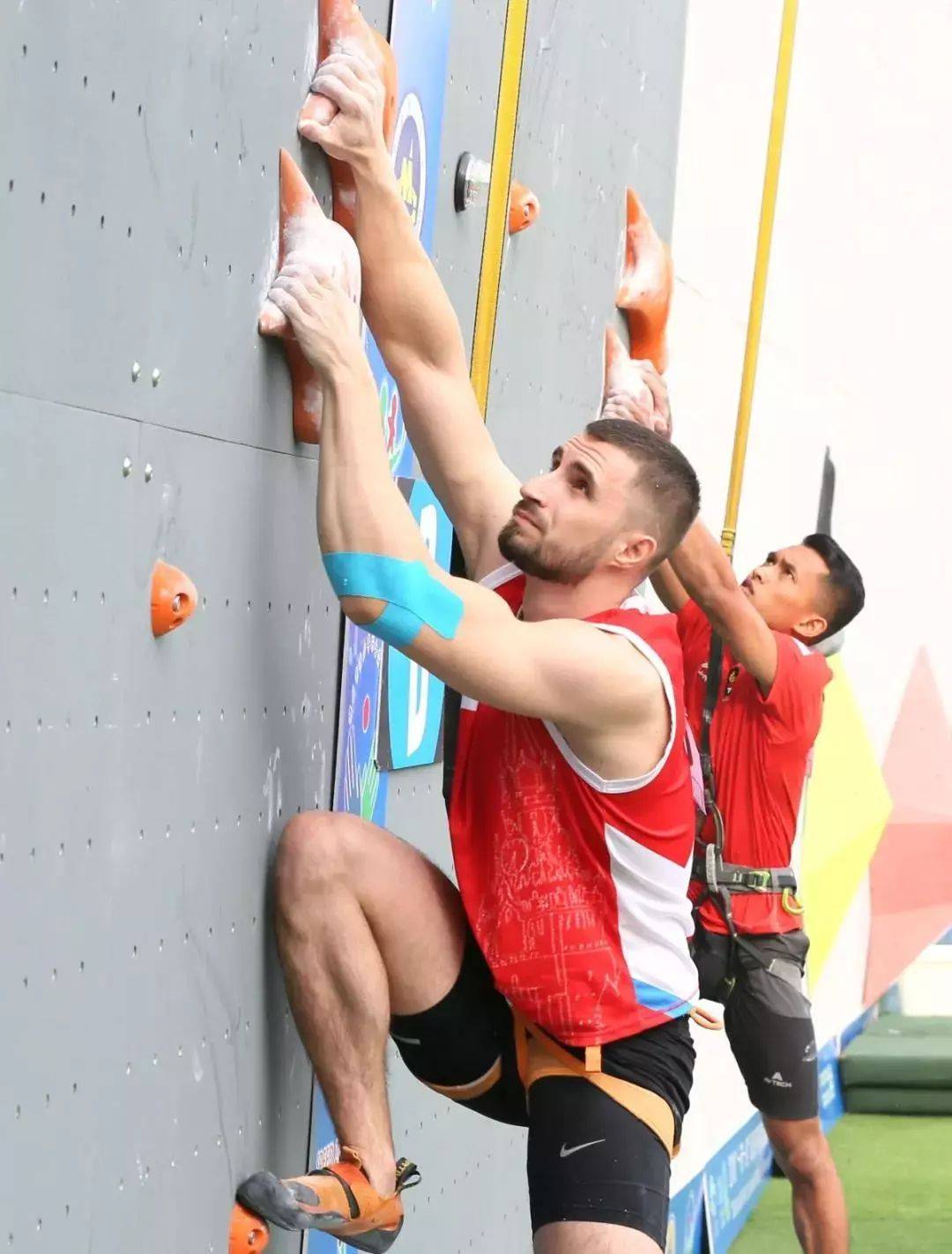 6686体育appV5.6专业版