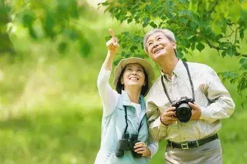 华体育会V6.5专业版