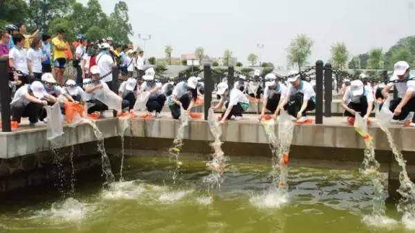 河南汽车维修平台APP