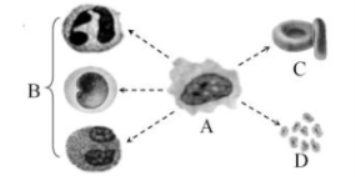 金山手机助手老版本