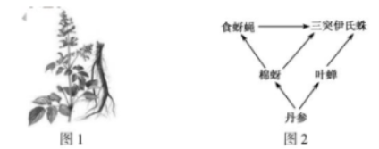 bt体育appV3.5专业版