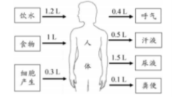 3d热带鱼动态屏保