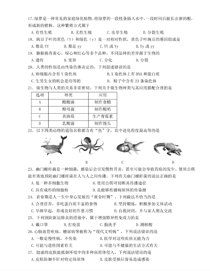 有鱼智投最新版