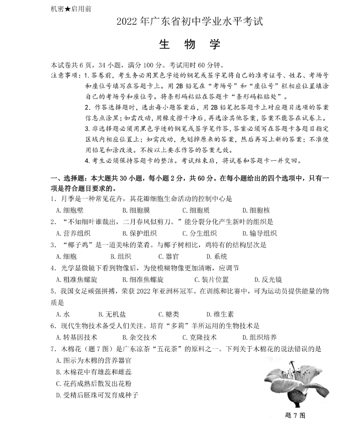 DiagramDesigner汉化版