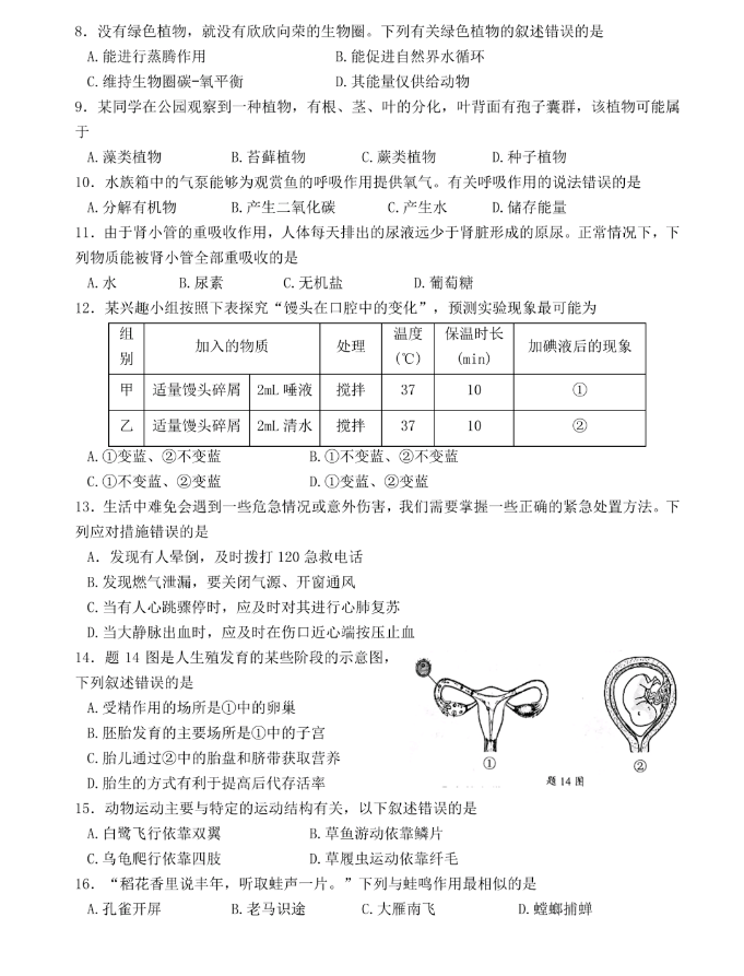 录屏大师