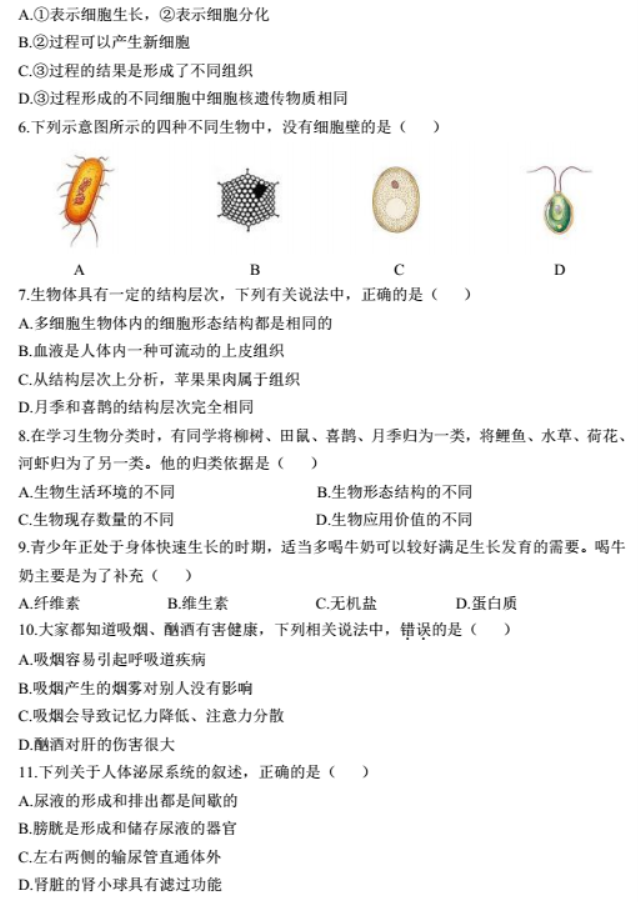 云顶41182025版新增地图高原研究所