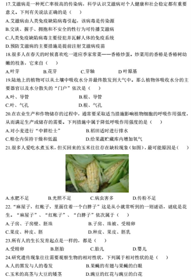 分区文件恢复(remo recover)