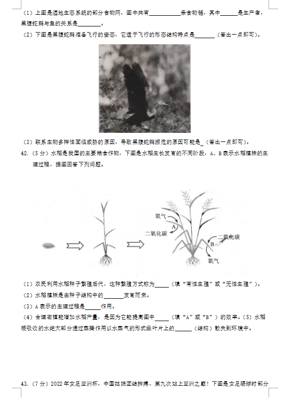 长江证券交易版