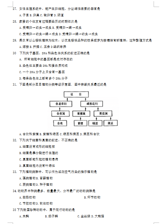 猴子也疯狂中国版