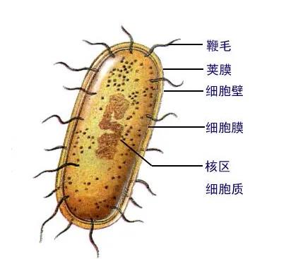 四方娱乐app