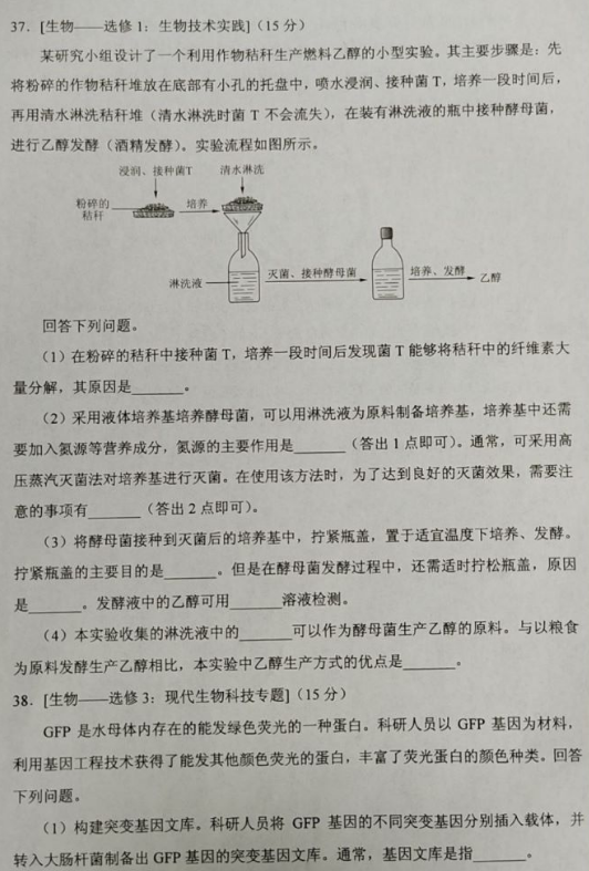 《云顶4008游戏官网》2025最新版外交谈判场景