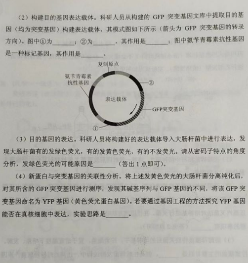开云体育appV3.1专业版