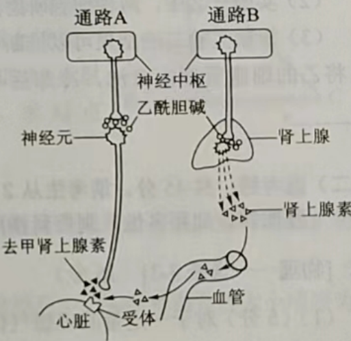 越聊