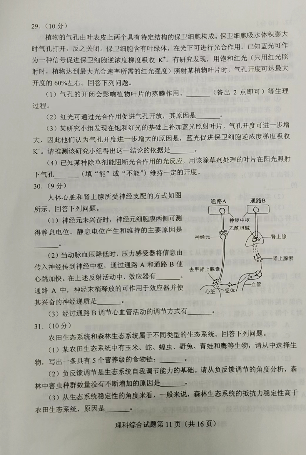 秘密组织3：远古时代