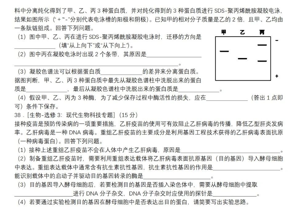 欧陆战争4：拿破仑