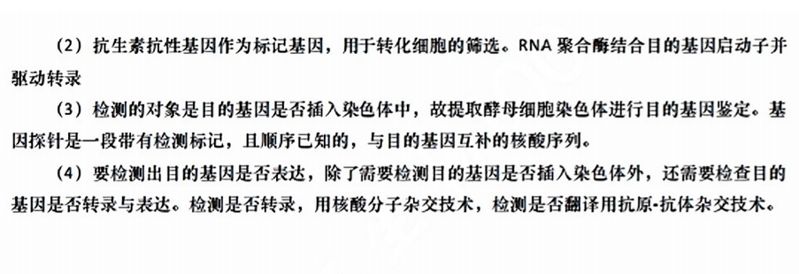 快手极速版