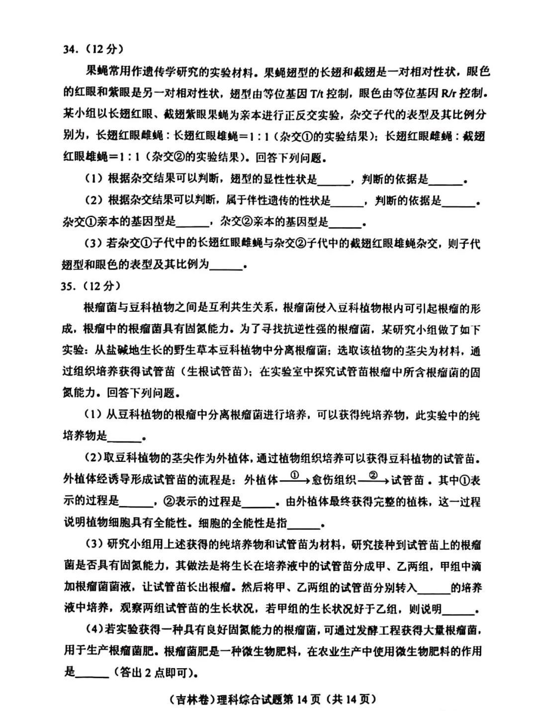 河南汽车维修平台APP