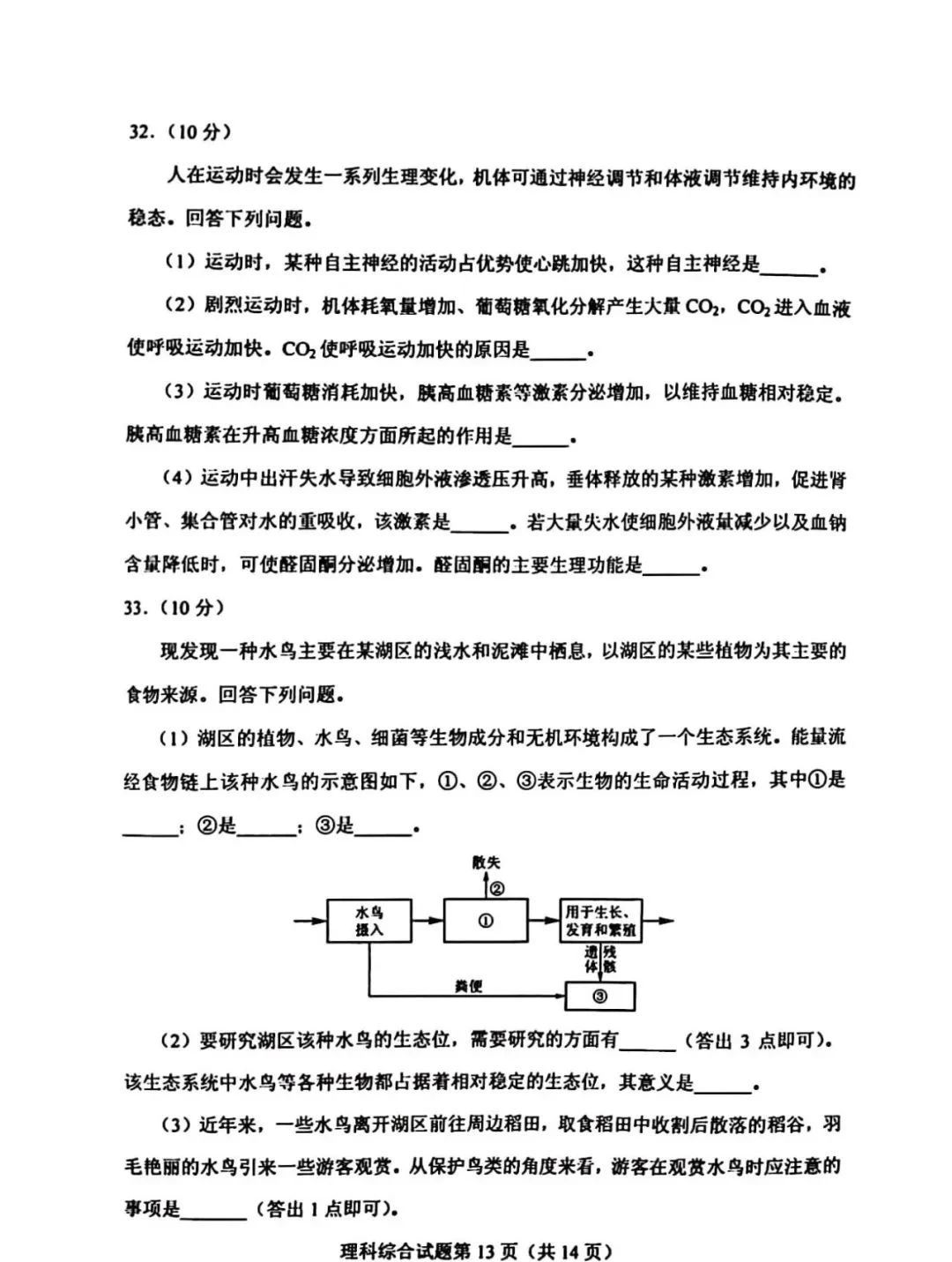 四季下载安卓版二维码