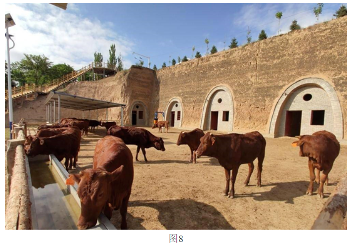 坦克大战共和国之辉2025新版坦克战斗特写