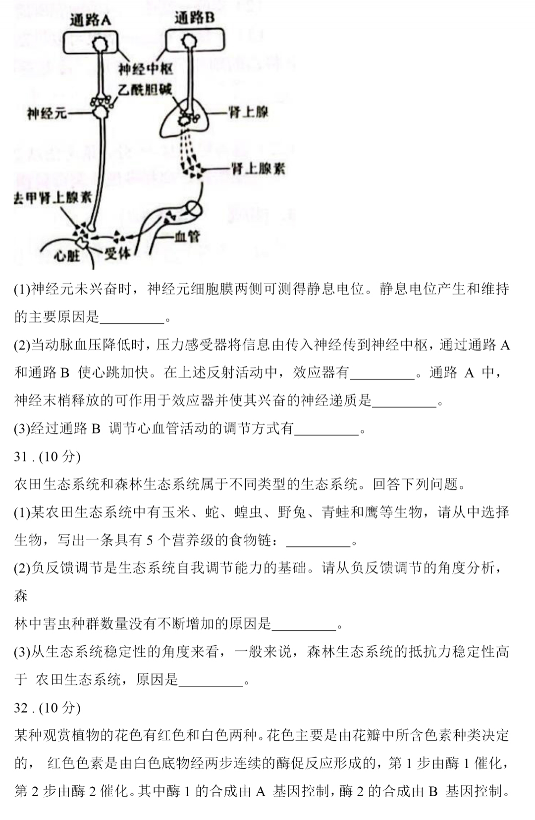 壹号娱乐app