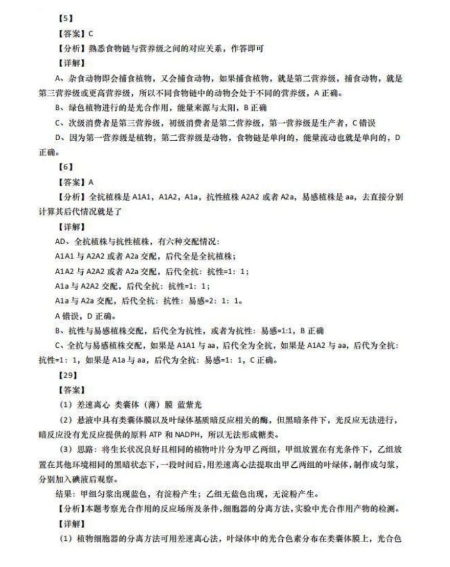 bodogappV8.6专业版