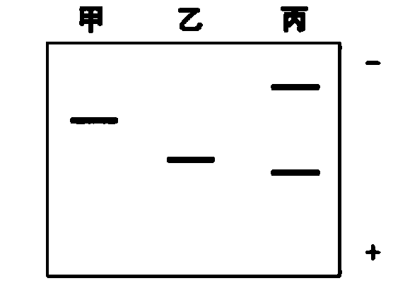 红果免费短剧