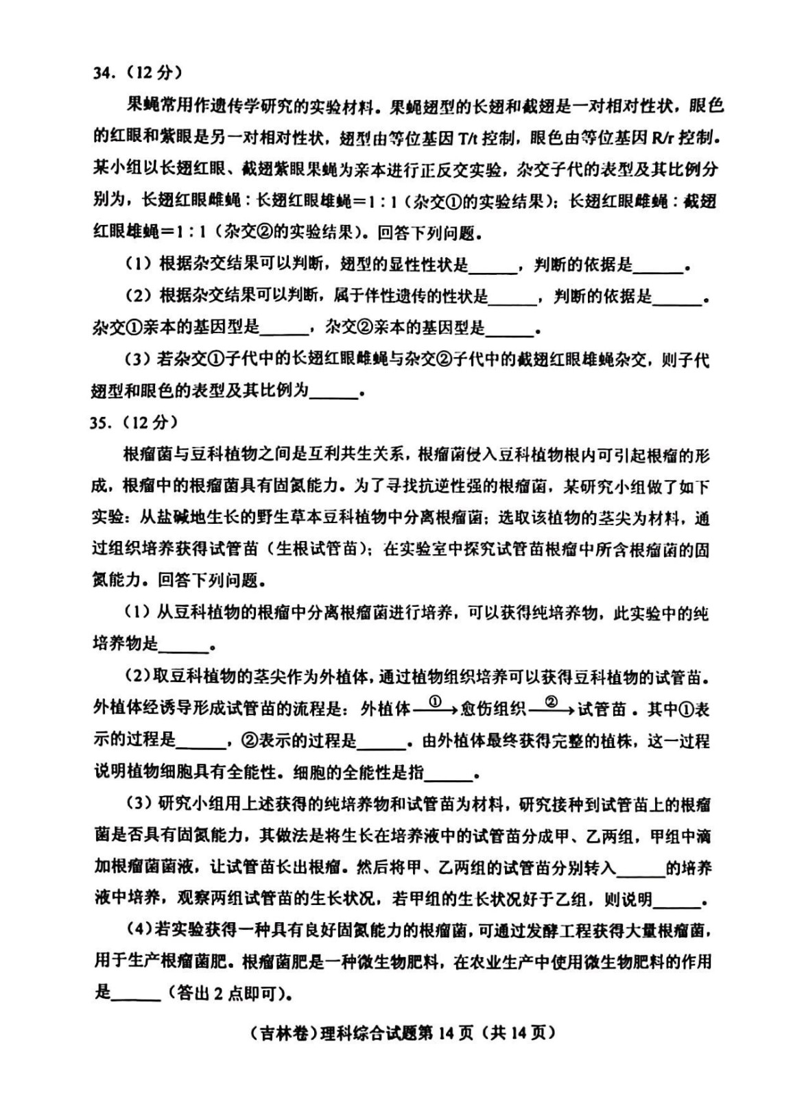河南汽车维修平台APP