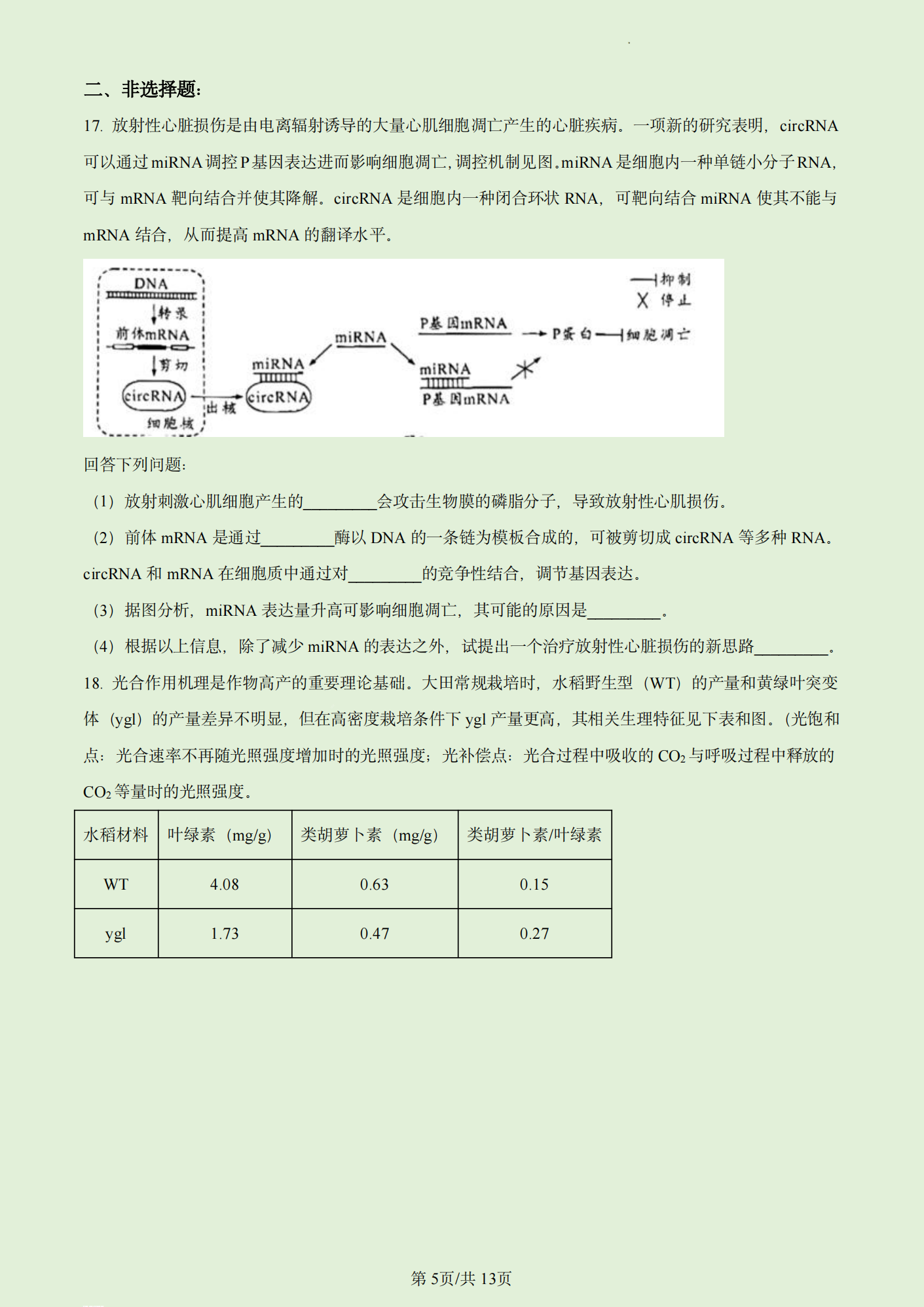 小熊洗车APP