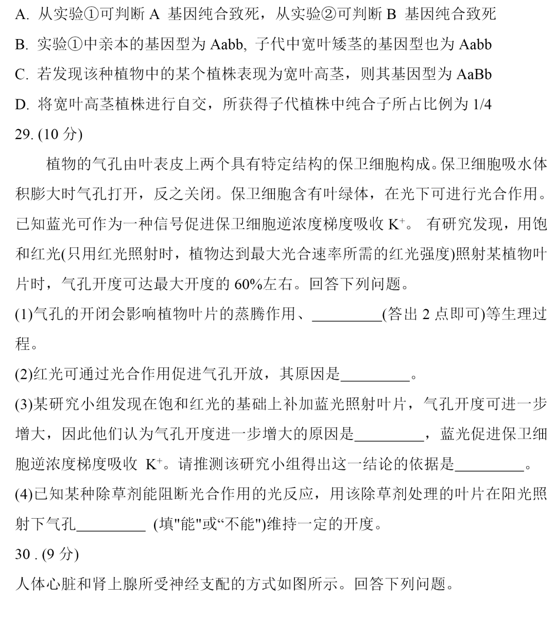 365完美app