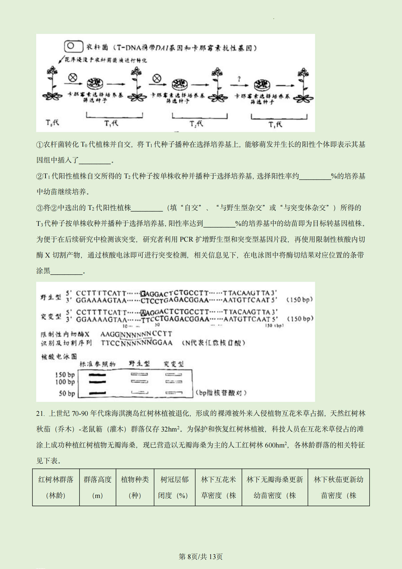灵魂筹码虫谷迷窟账号与数据界面