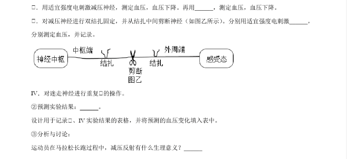 星空下载入口安卓版二维码