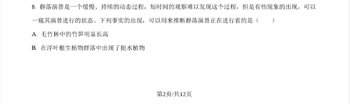迷你简竹子
