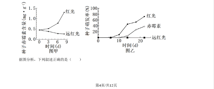 黑暗境地 上帝模式版