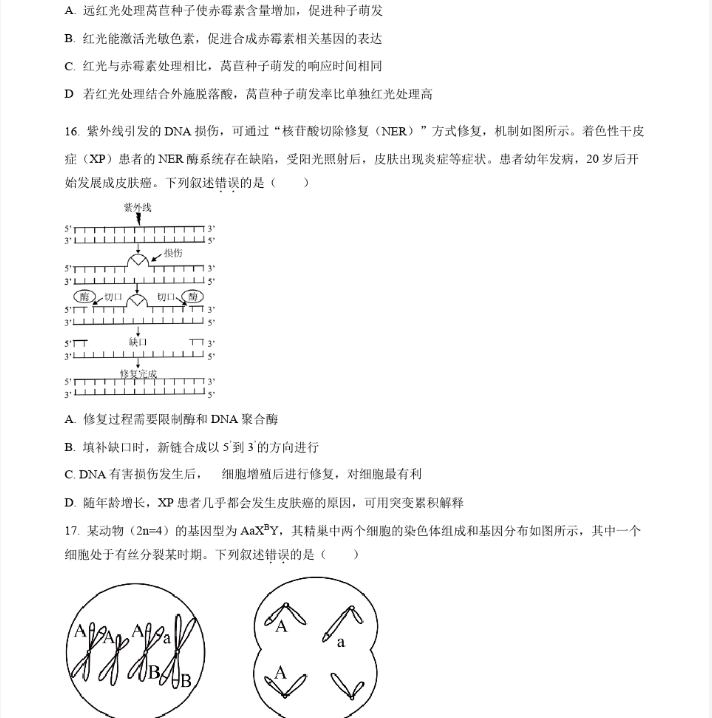 爱游戏体育下载appV4.3专业版