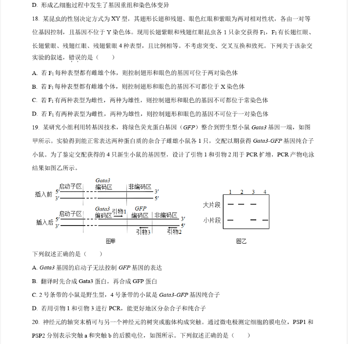 神游戏模拟器 完整解锁版