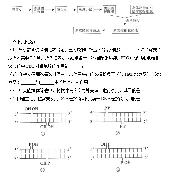 娱乐平台APPV3.9专业版