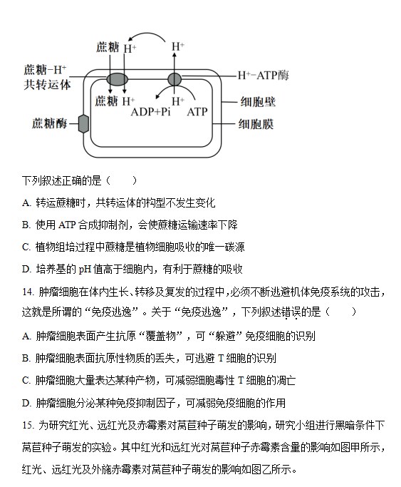 2028体育app安卓版二维码