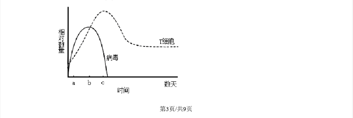 AMD主板芯片组驱动包for winxp