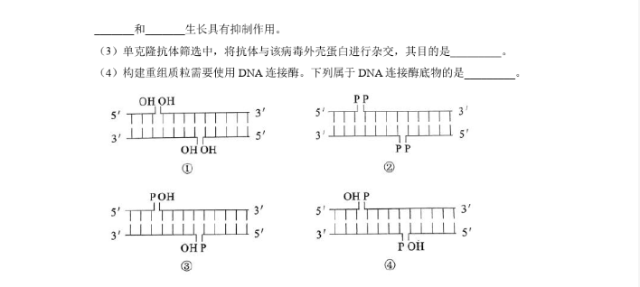 eman安卓版