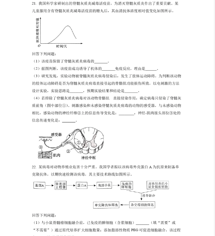 windows终端连接器加强版