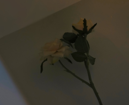 win7一键垃圾清理bat