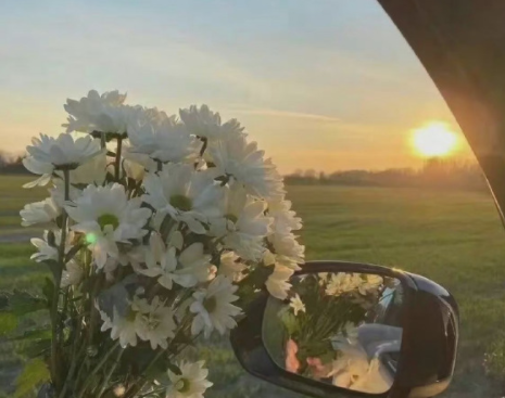 开云app官方体育appV9.6专业版